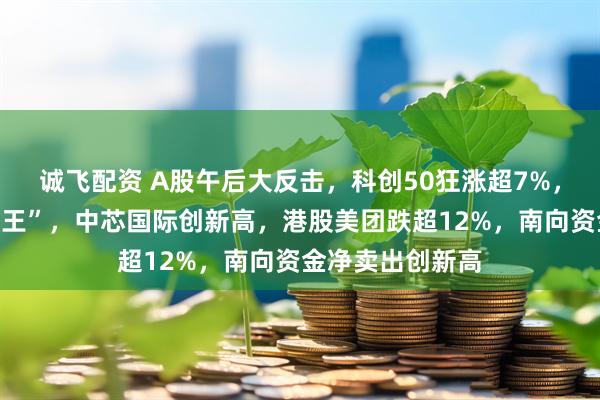 诚飞配资 A股午后大反击，科创50狂涨超7%，寒武纪登顶“股王”，中芯国际创新高，港股美团跌超12%，南向资金净卖出创新高